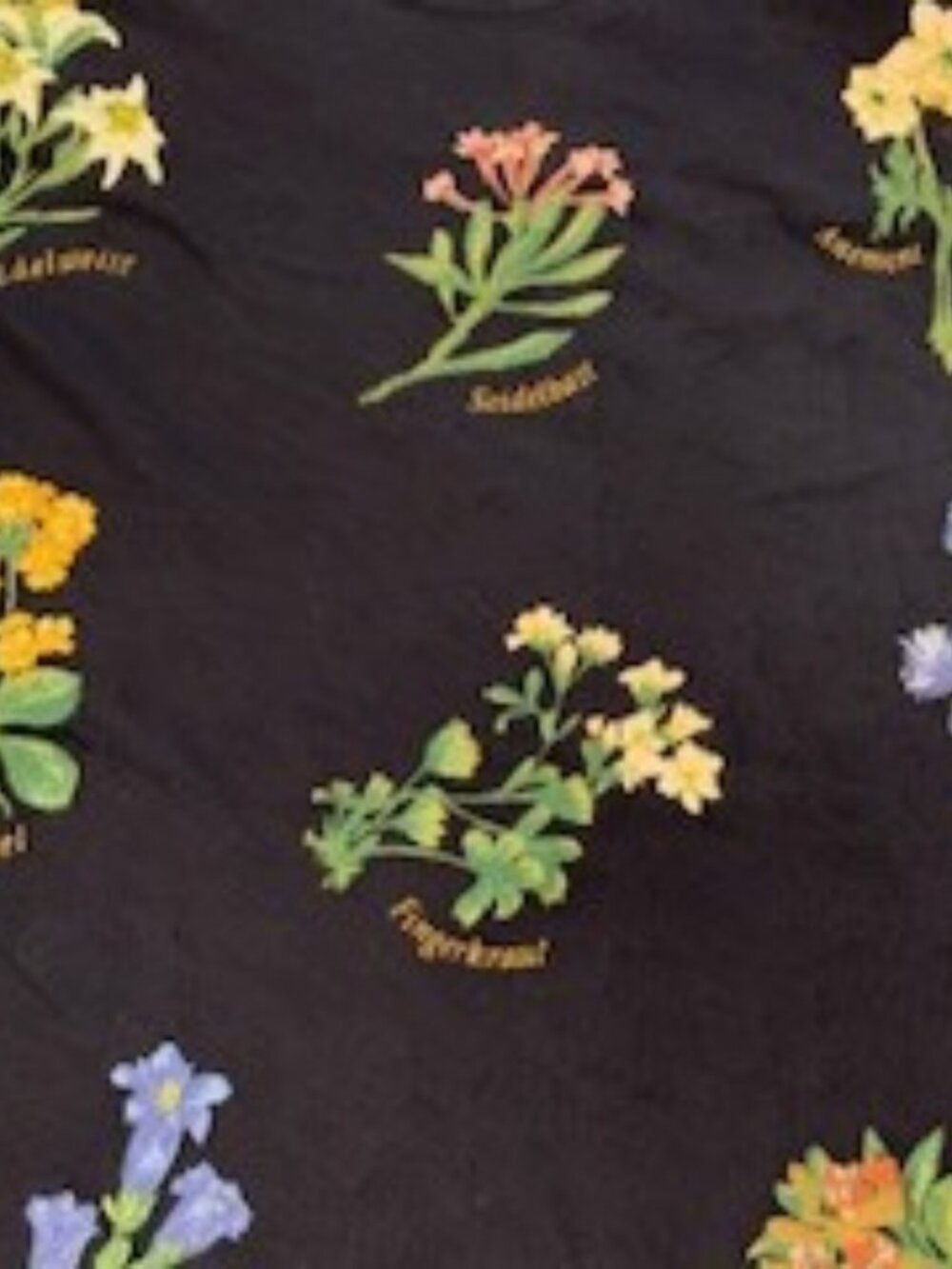Alma Mater Cotton Tee with Wildflowers - Picture 2 of 6